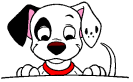 Queens New York Dog Training