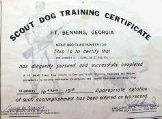 Anthony Jerone's - Scout Dog training Certificate