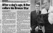 anthony jerone's dog training school & carrer inc.