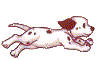 Flushing Dog Training - Queens