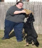 protection training - Fritzy - guard dog training 