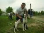 Anthony Jerone's School of Dog Training & Career Inc...