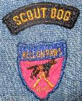 dog school, dog training school, dog career, become a dog trainer,certified dog trainer