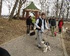 Free Dog Training Lessons at Doggie Boot Camp -  Queens New York