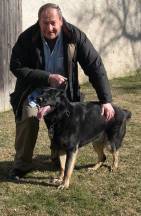 Anthony Jerone - Dog Trainer - Queens